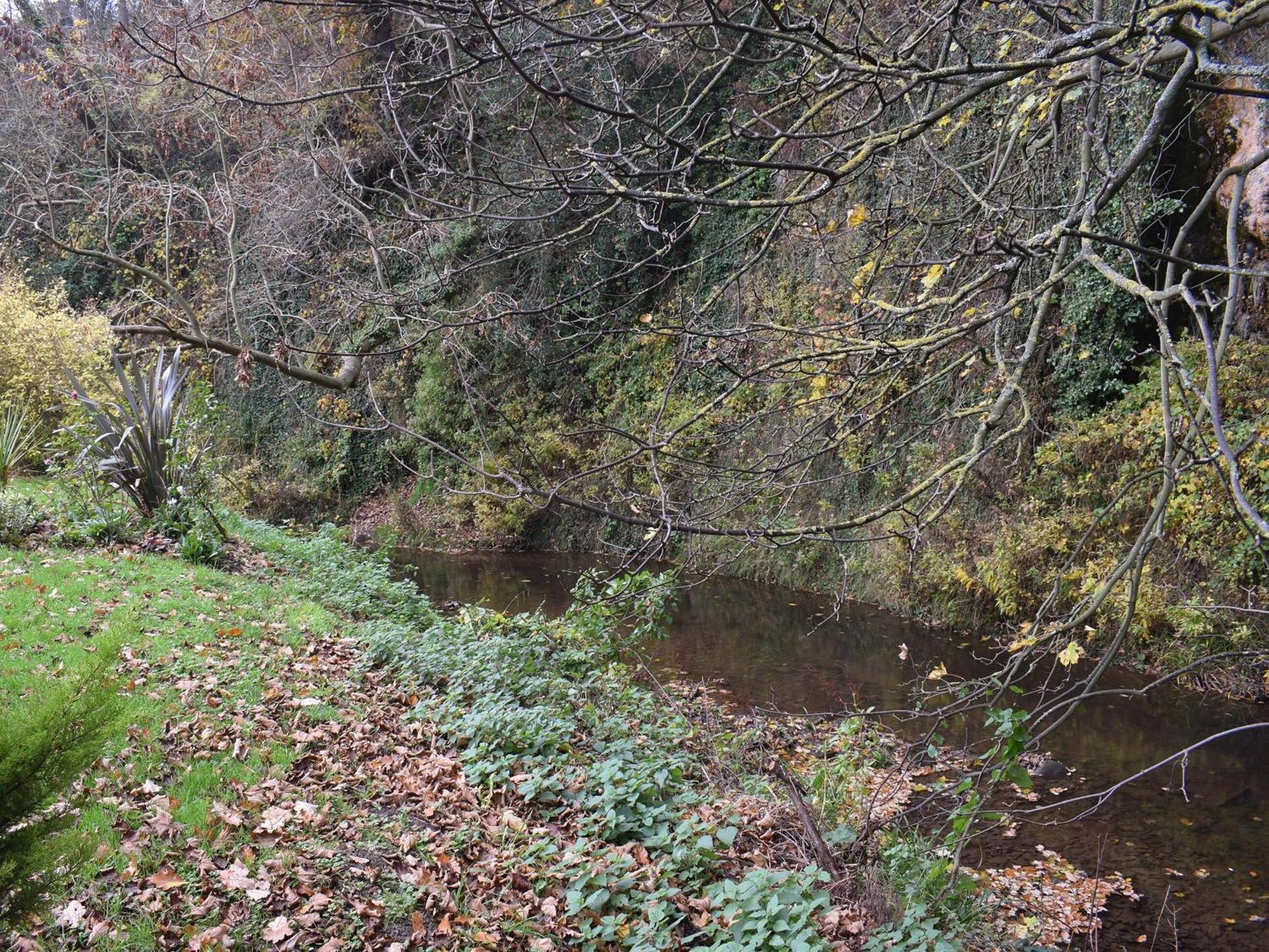Pheasant Lodge Staithes Extérieur photo